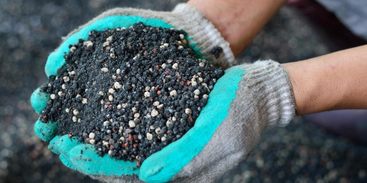 Chăm sóc cây mai sau Tết để hoa khoe sắc đón Xuân