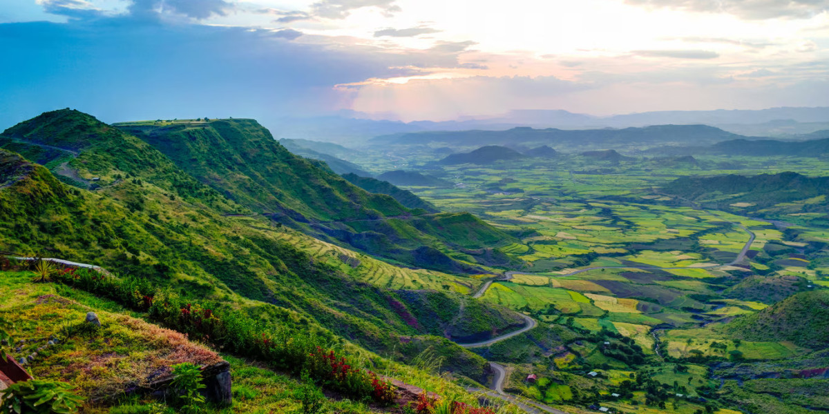 Ethiopia e-Visa for South African Citizens: A Complete Guide