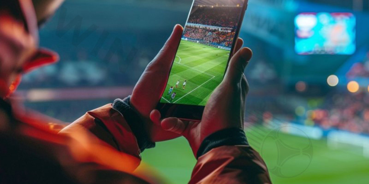 Live Betting on Euro Matches for Beginners – Essential Tips to Get Started
